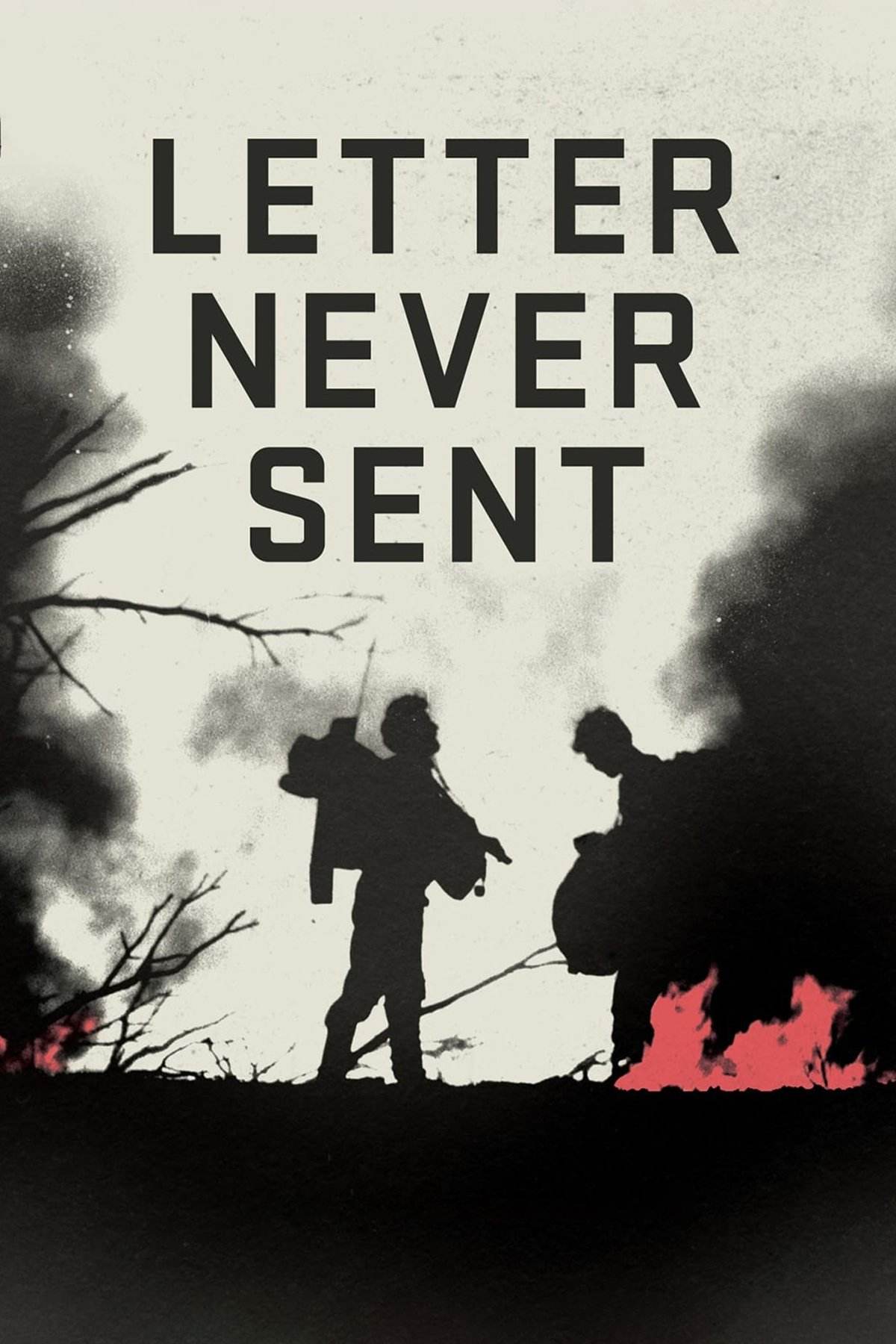 Poster for Letter Never Sent
