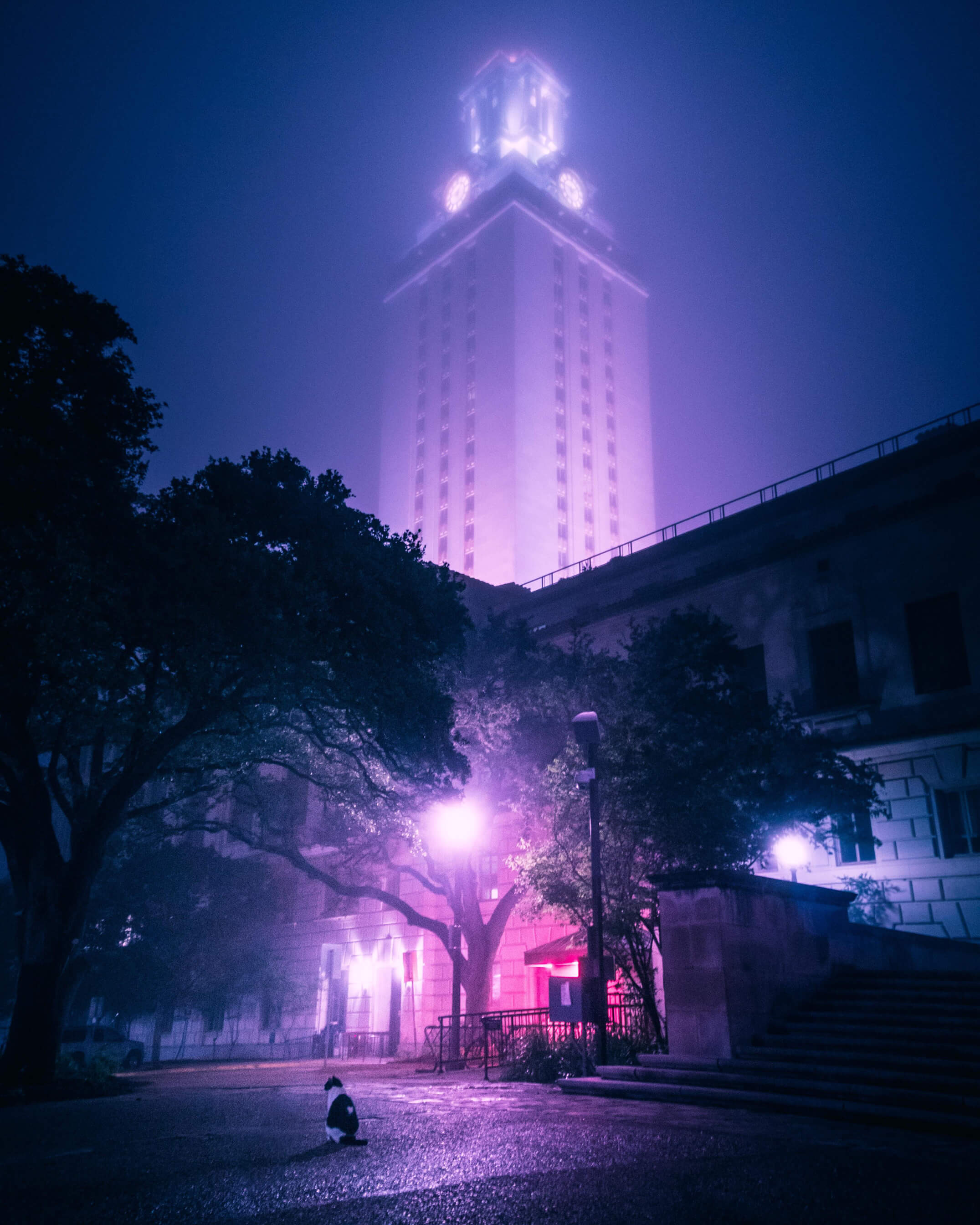 Domino and the UT Tower