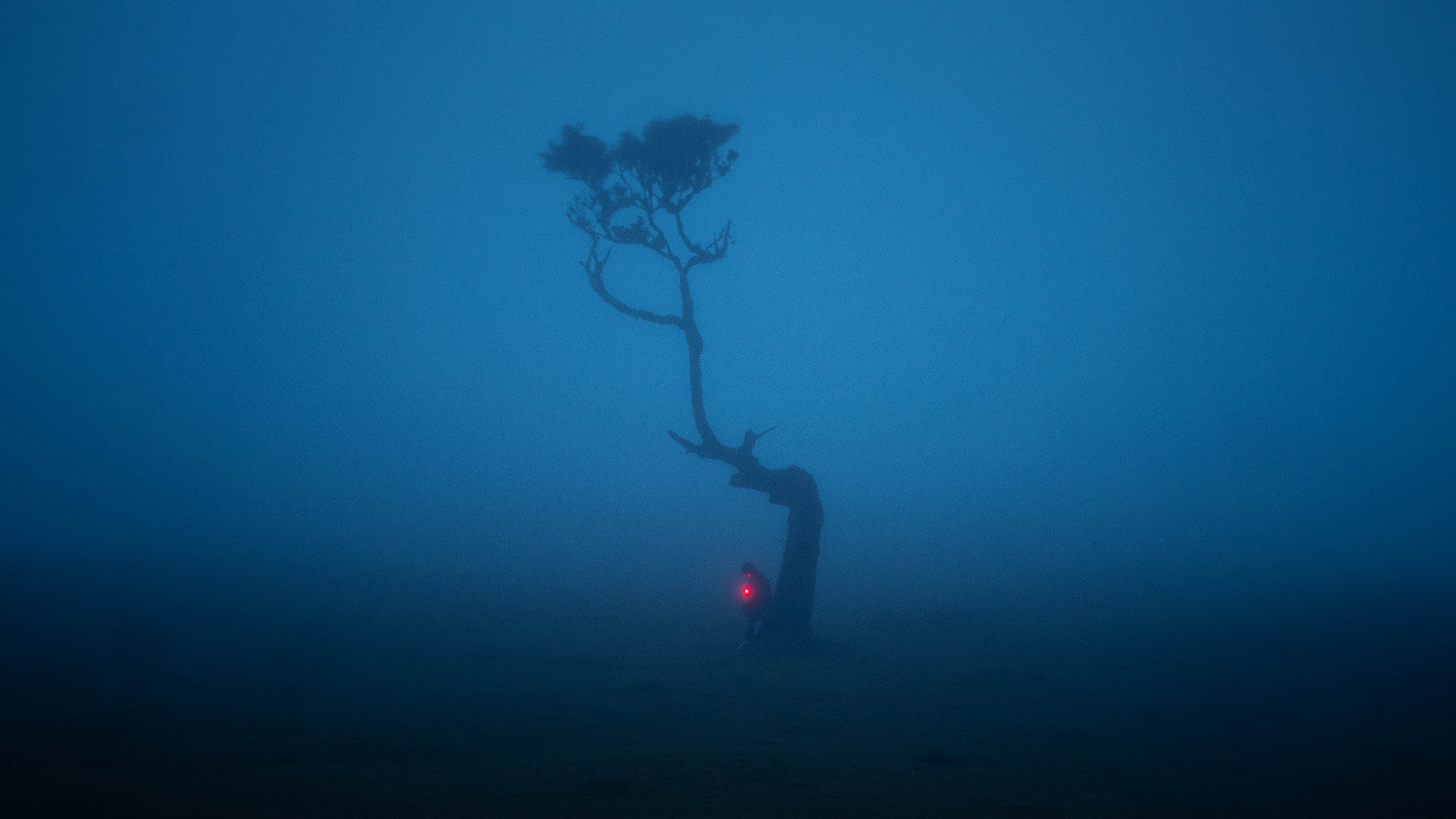 Madeira