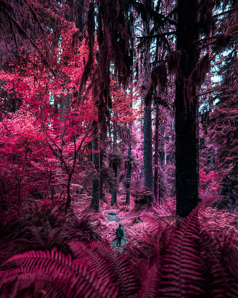 Infrared