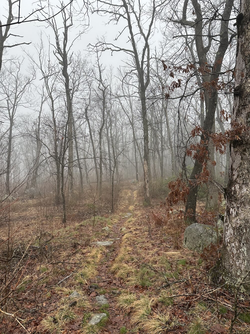 The trail near Manitou