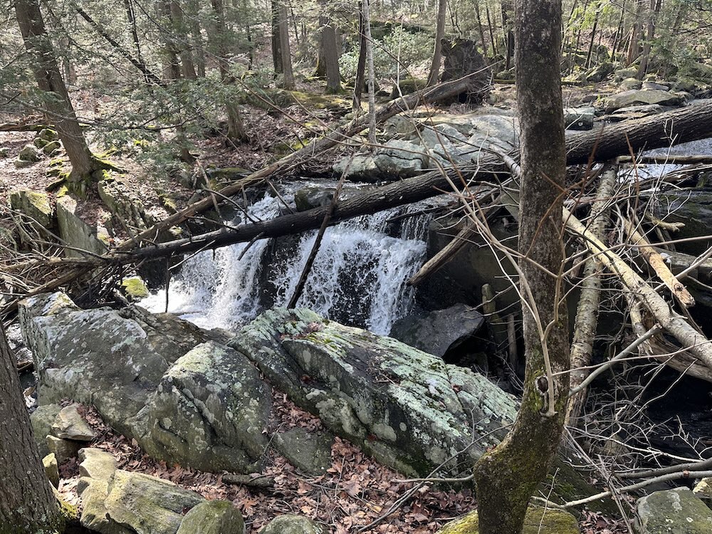 Little waterfall along the way