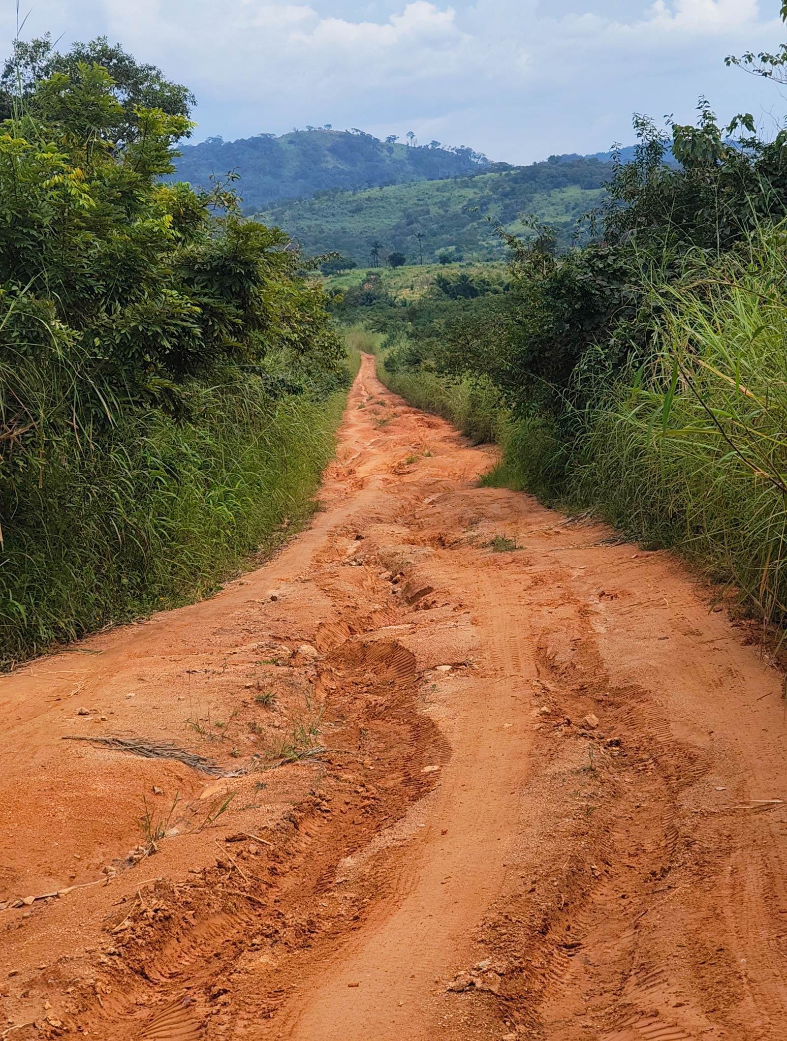 My brake pads were not in good shape at this point