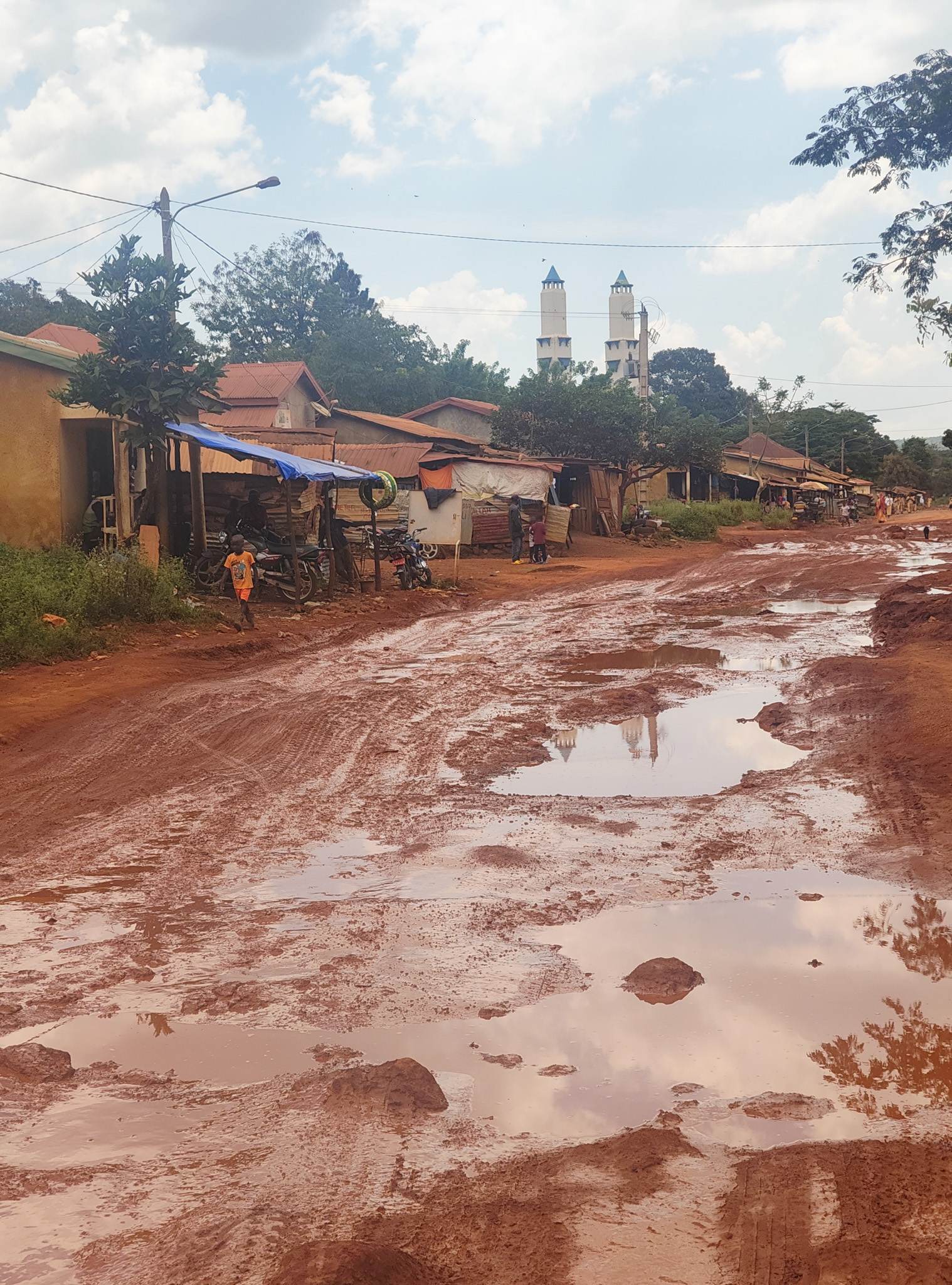 The roads in Guinea were some of the worst I encountered on the trip