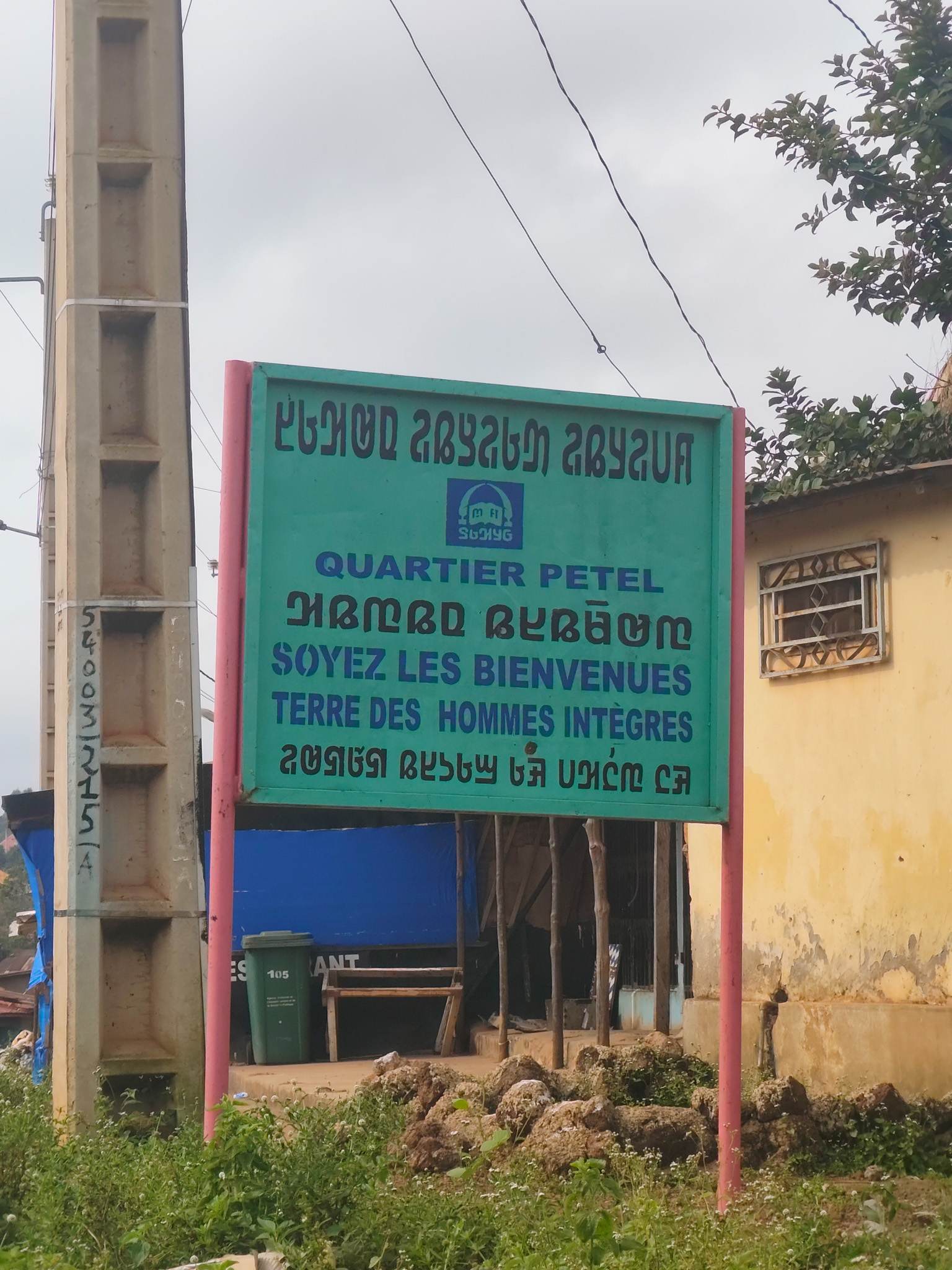The N'Ko script is used as a writing system for the Manding languages of Guinea, Ivory Coast, and Mali.