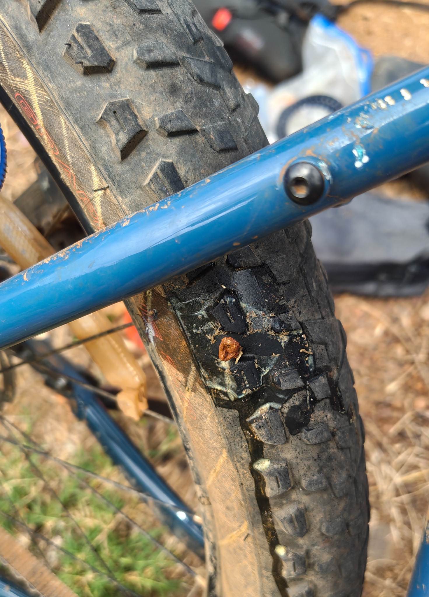 My first flat, thankfully an easy fix a bacon strip