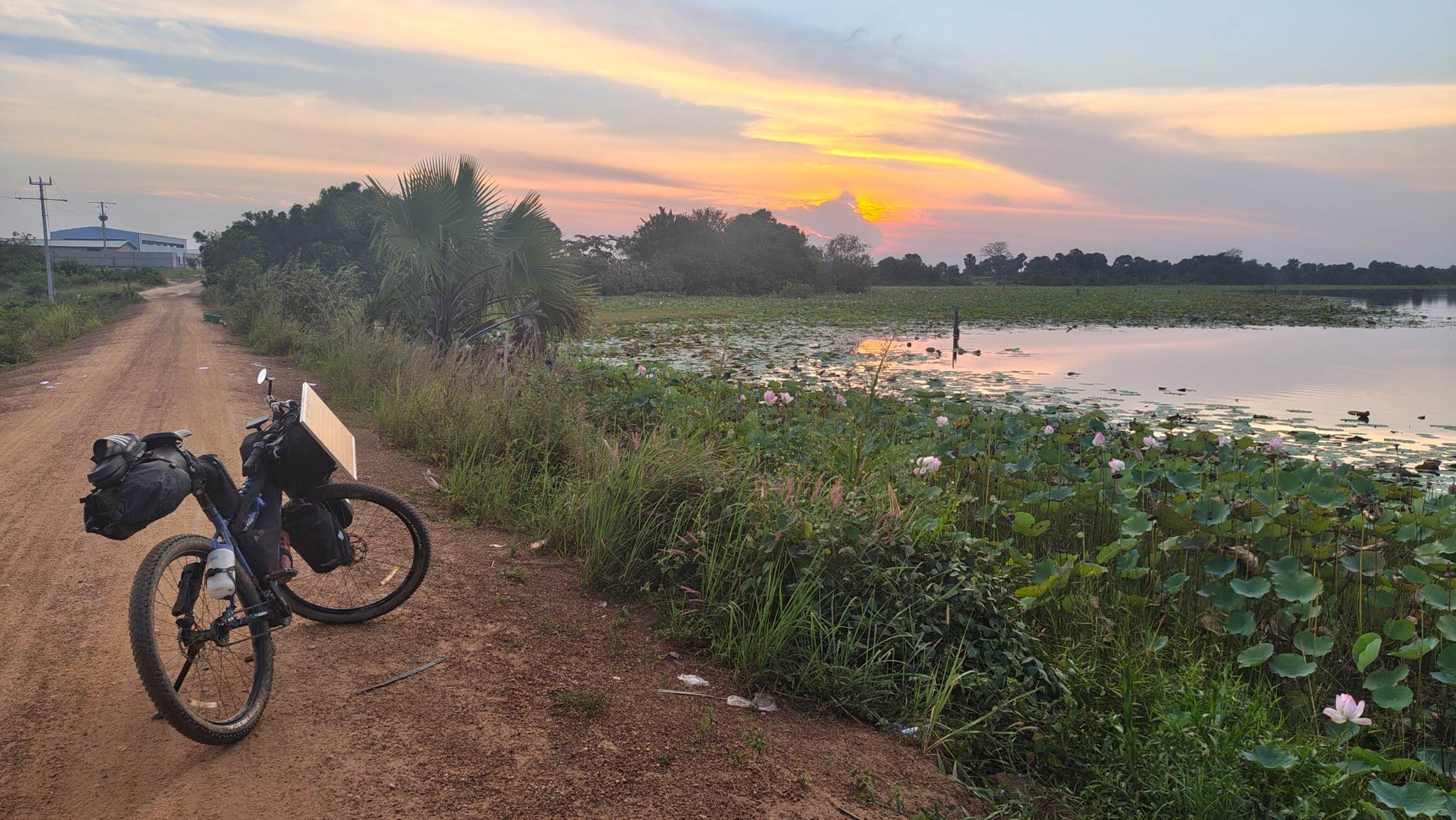 I camped close to this lake filled with lotuses
