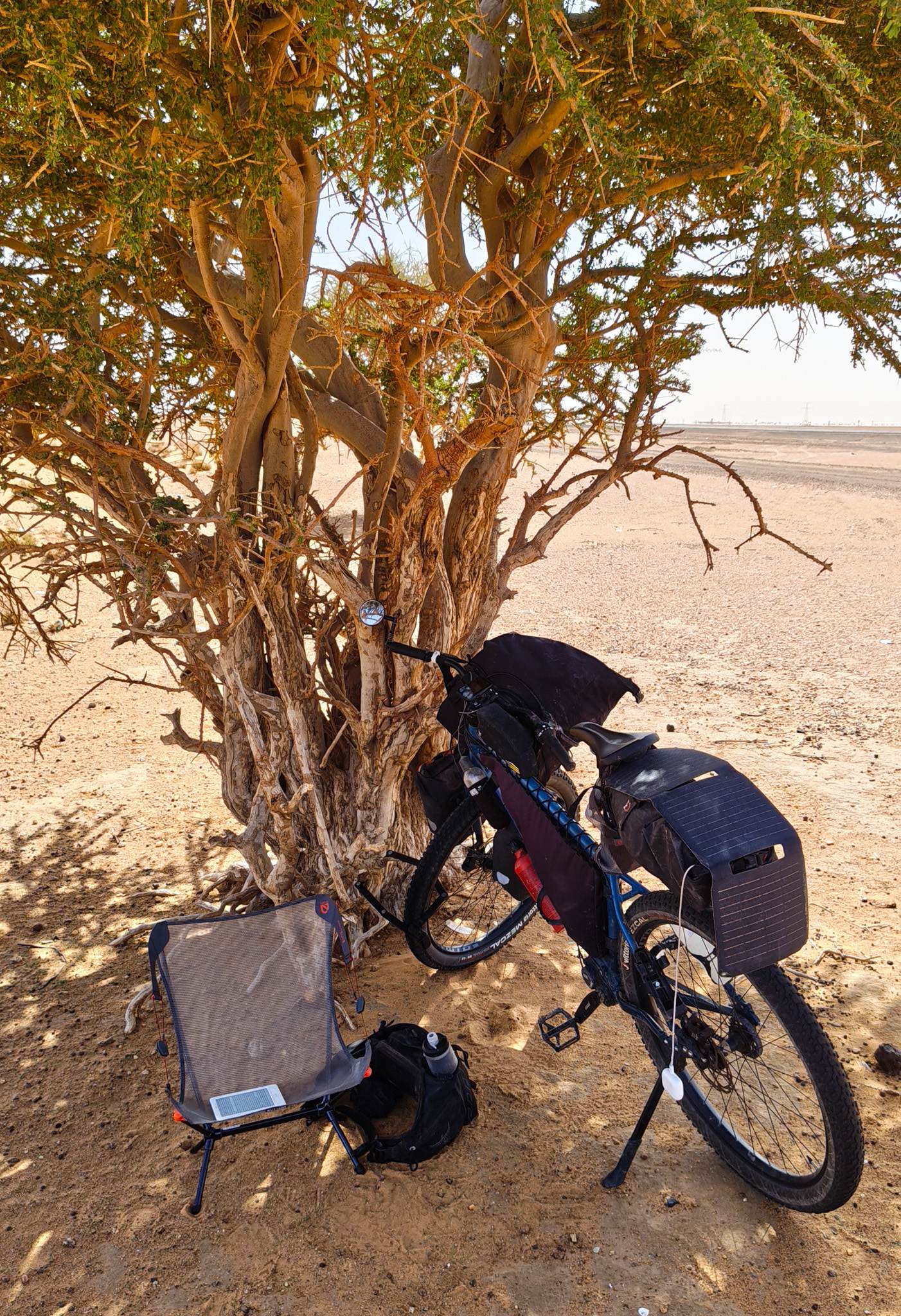 Taking a mid-day break in the 45ºC heat