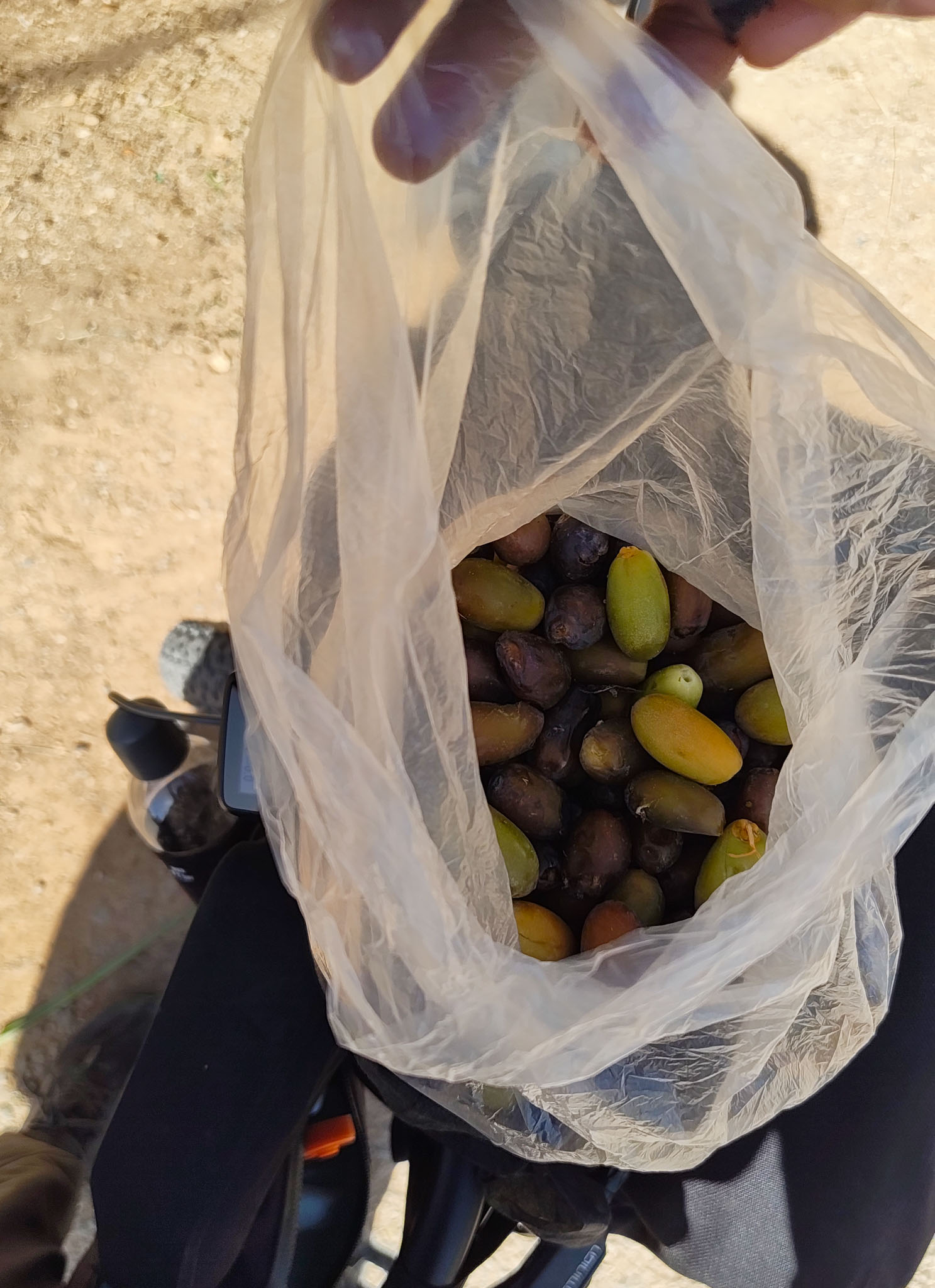 I was gifted a massive bag of dates by some locals working on a palm grove. I told them I was Indian and Chinese and the lady responded with "Kareena Kapoor" which I found hilarious. Such kind people!