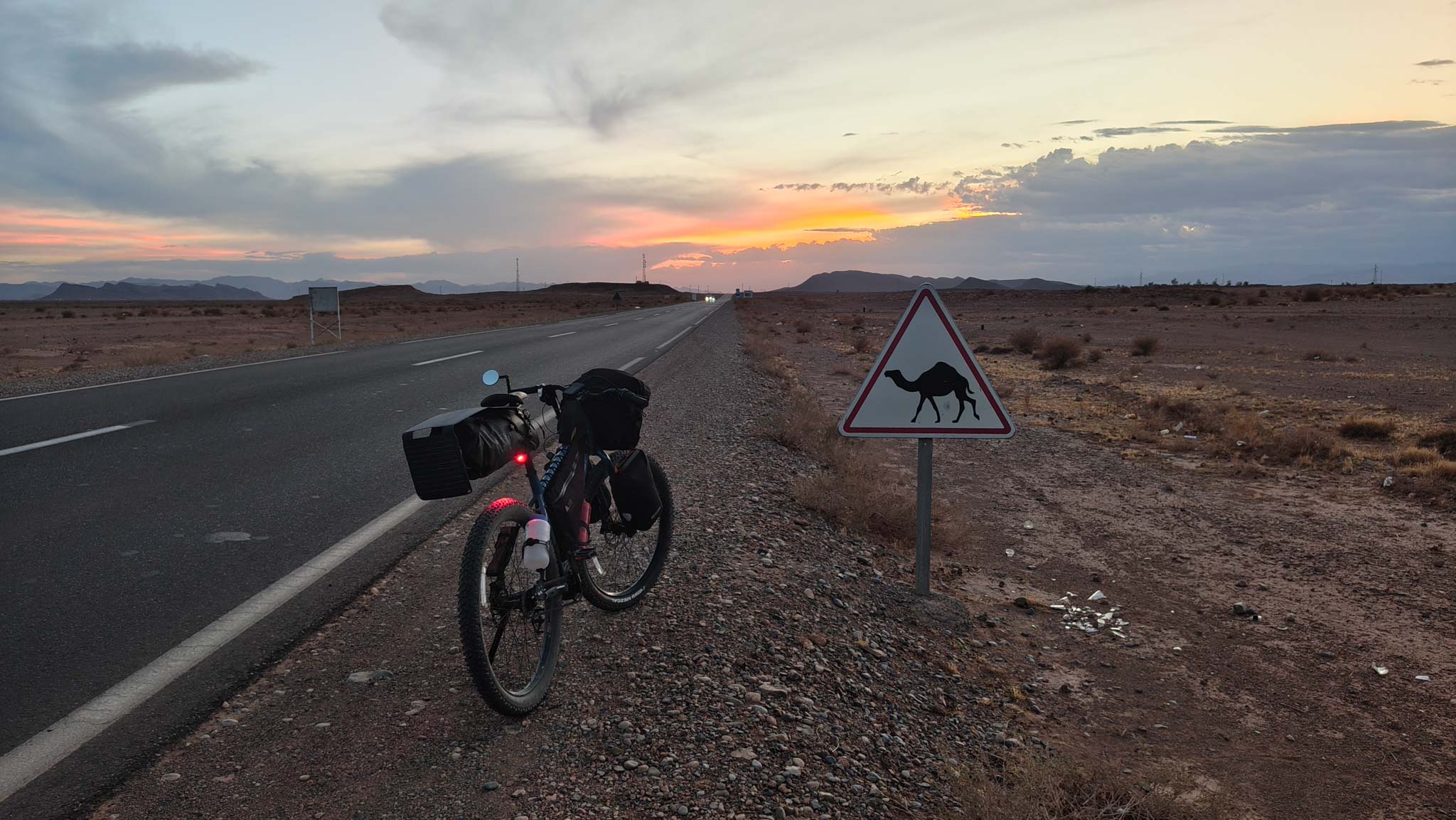 Watch out for camels!