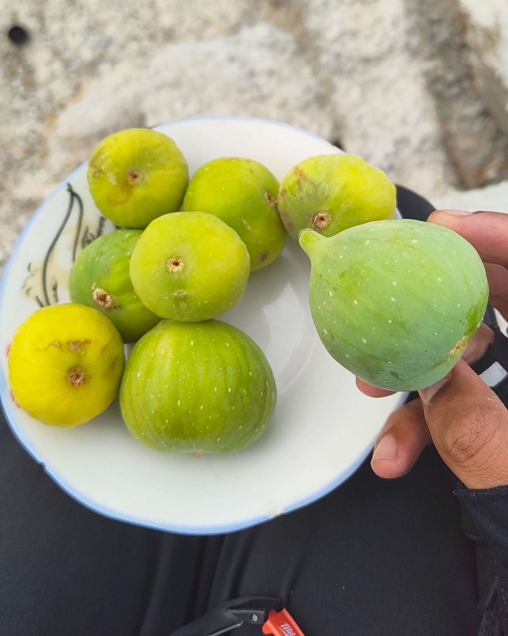 I was gifted these delicious green figs by a local while I was taking a break on the side of the road