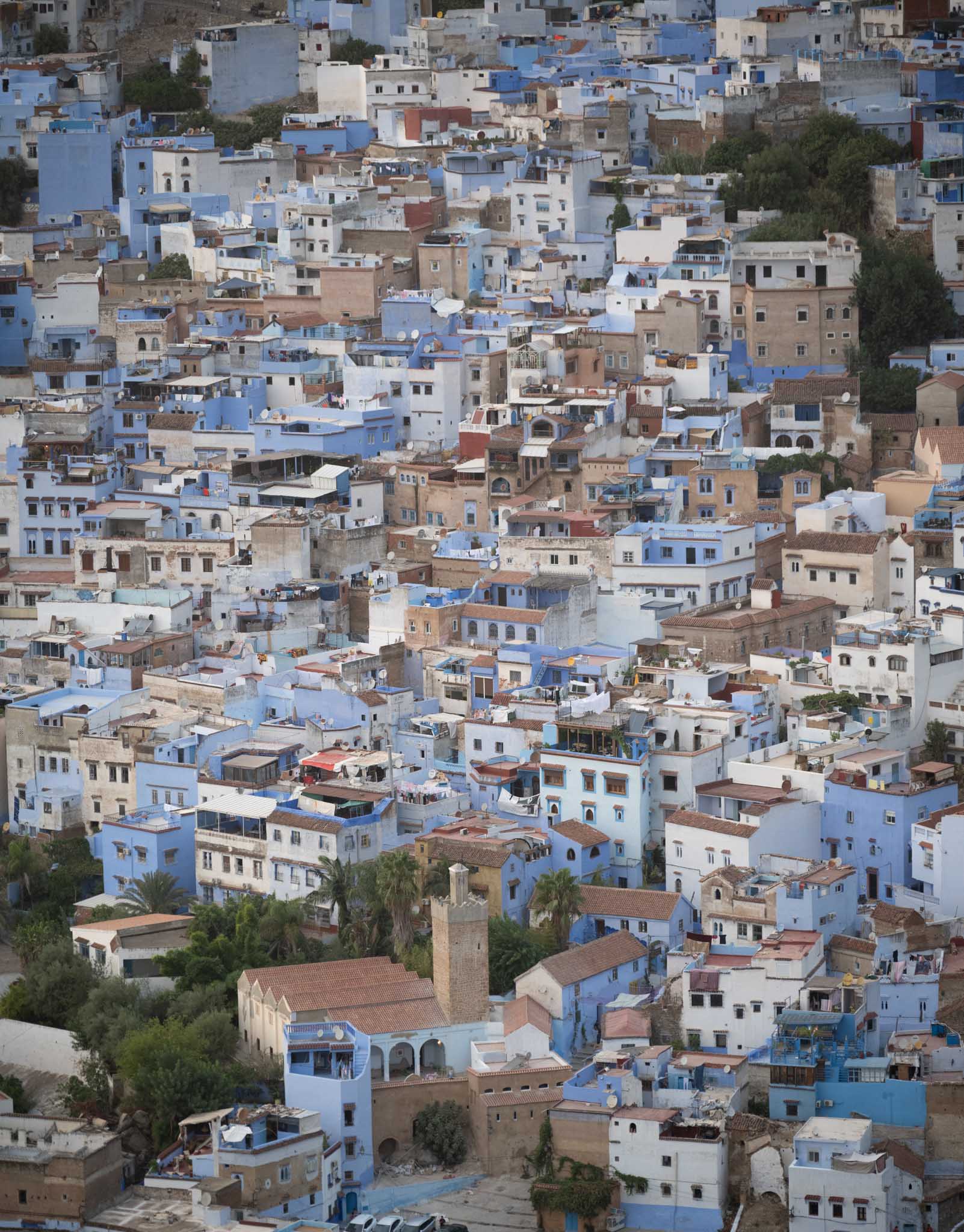 The blue city of Chefchaouen. Reminded me of Jodhpur in India