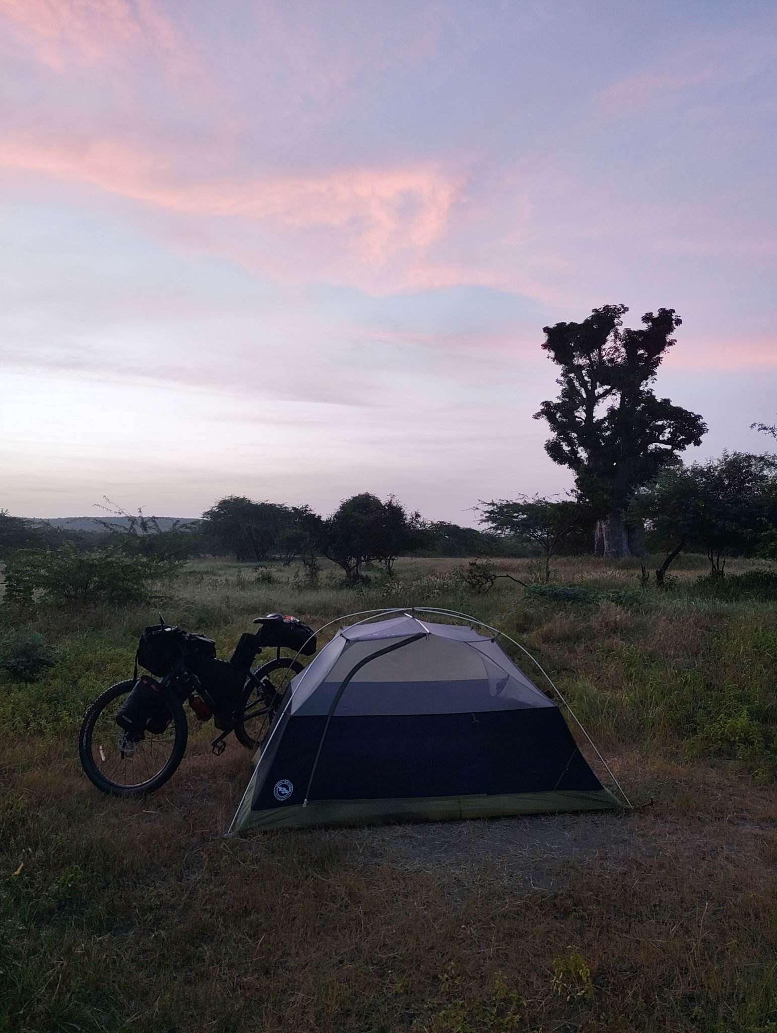 Campsite with a baobab